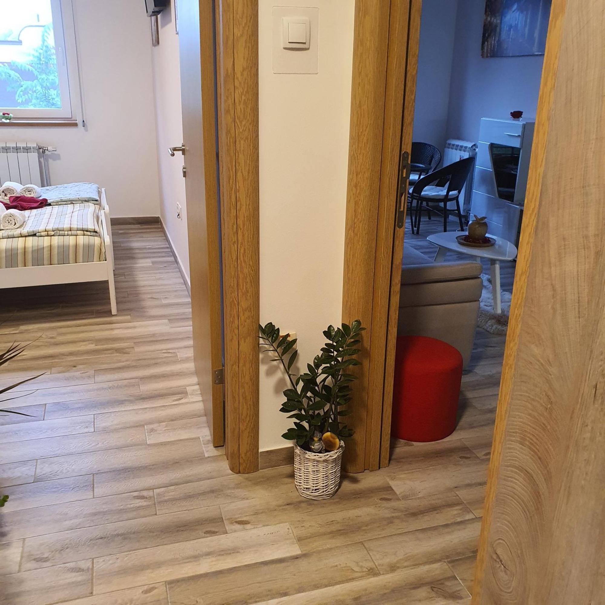 Apartment Rea Subotica Extérieur photo